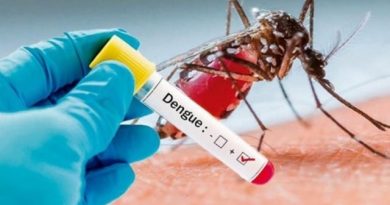 Dengue: hasta la semana del 12 al 18 de marzo se notificaron en el país 9.388 casos de dengue, de los cuales 8.504 adquirieron la infección en la Argentina