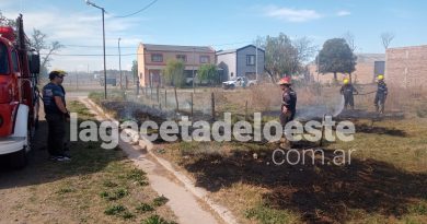Bomberos trabajaron en incendios forestales en calle Krausse y más tarde en Benítez